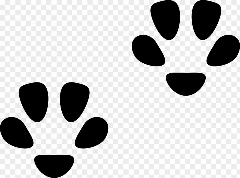 Cat Felidae Footprint Paw Clip Art PNG