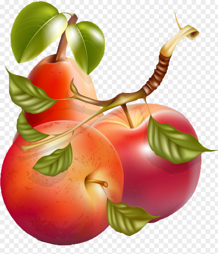 Creative Fruits Hand-painted Cartoon Fruit,Painted Apple Pear Illustration PNG