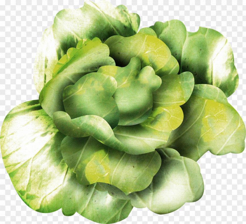 Cumin Leaf Vegetable Cruciferous Vegetables Brassica Oleracea Spring Greens PNG