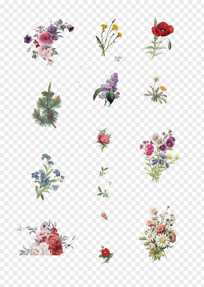 Flower Floral Design Cut Flowers Petal PNG