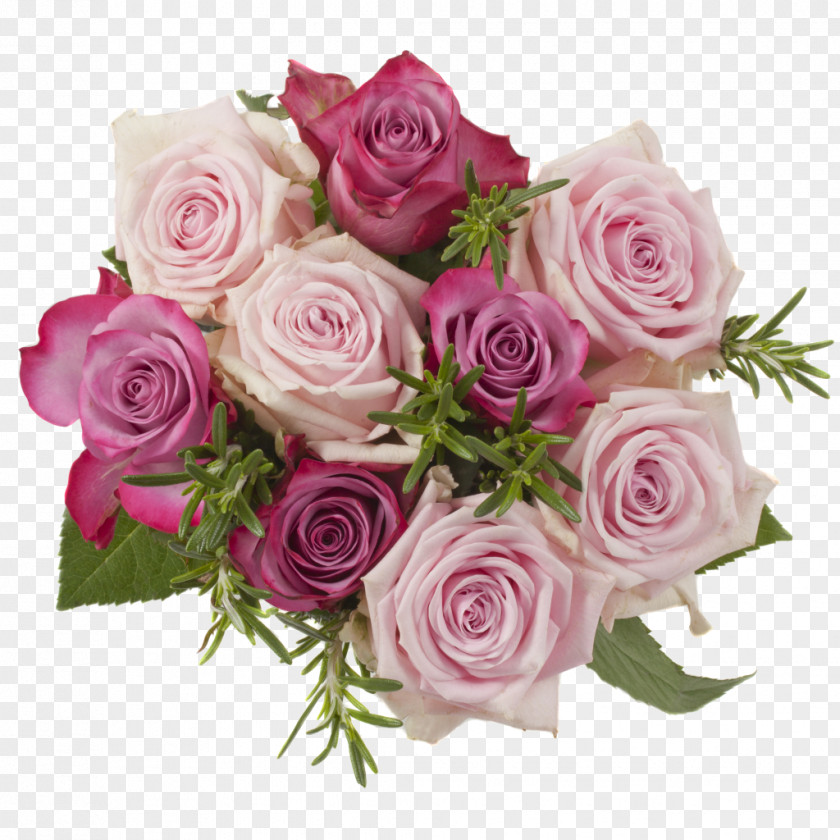 Flower Garden Roses Qualirosa B.V. Bouquet Cut Flowers PNG