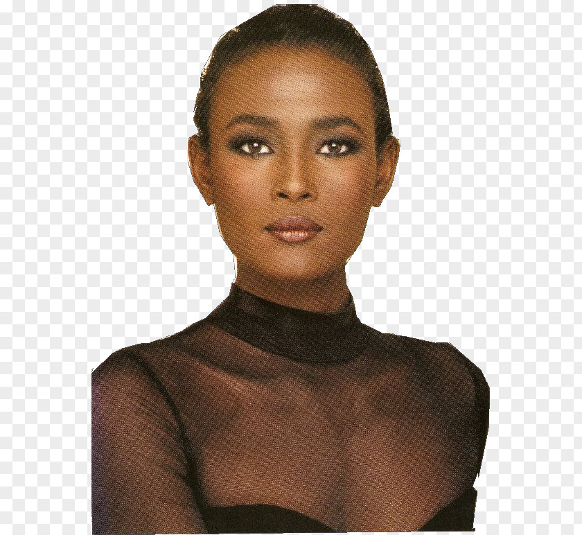 Model Waris Dirie Desert Flower Galkayo Darod PNG