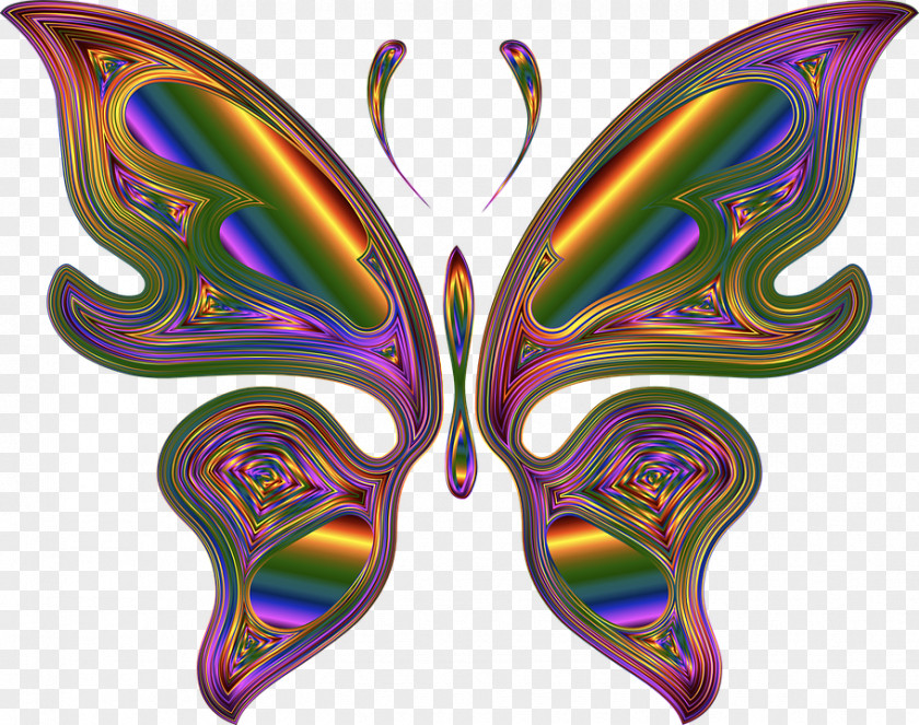 Butterfly Clip Art PNG