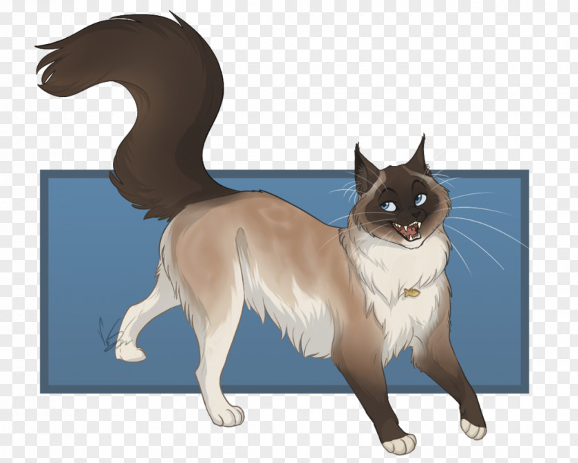 Cat Whiskers Dog Breed Drawing PNG