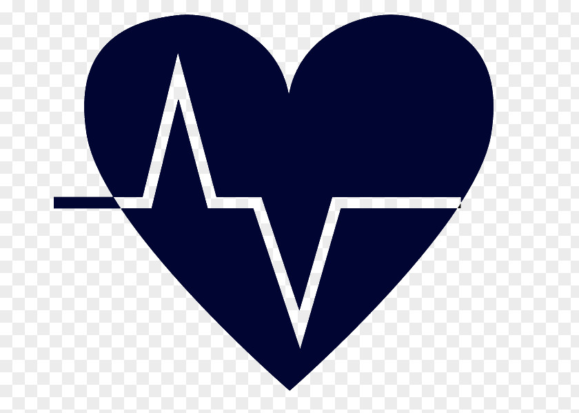 Heart Rate Vector Graphics Electrocardiography Pulse PNG