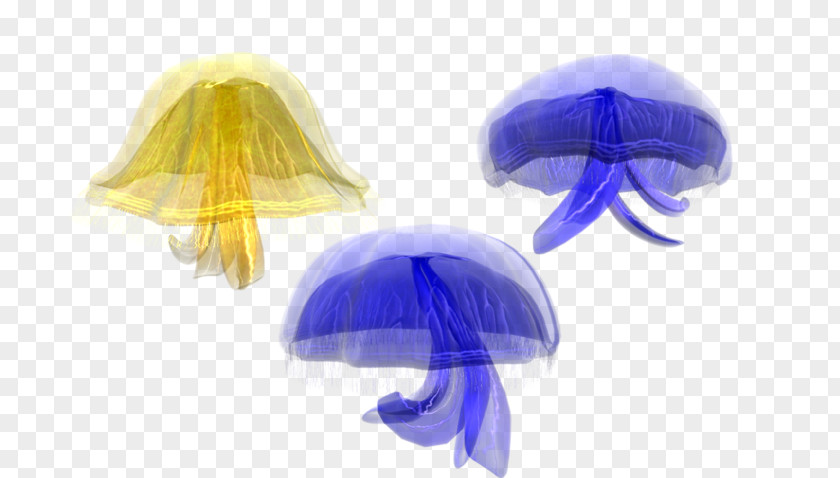 Jellyfish Marine Invertebrates Clip Art PNG
