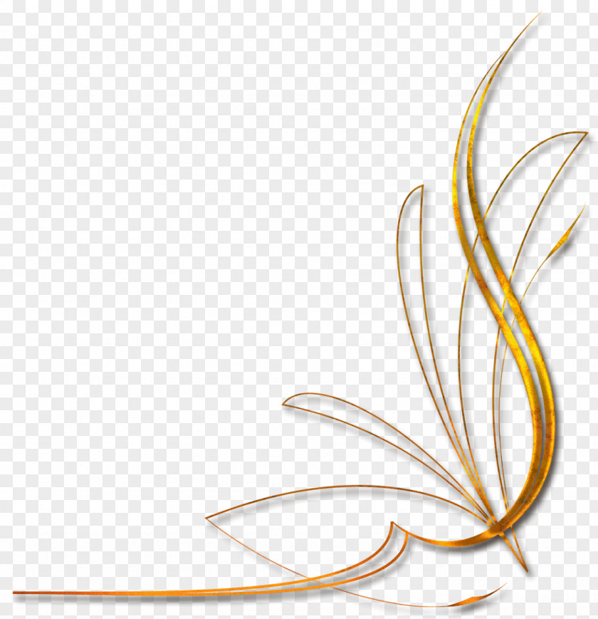 Necklace Graphic Artist Design PNG