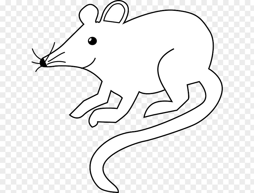 Computer Mouse Clip Art Cat Image PNG