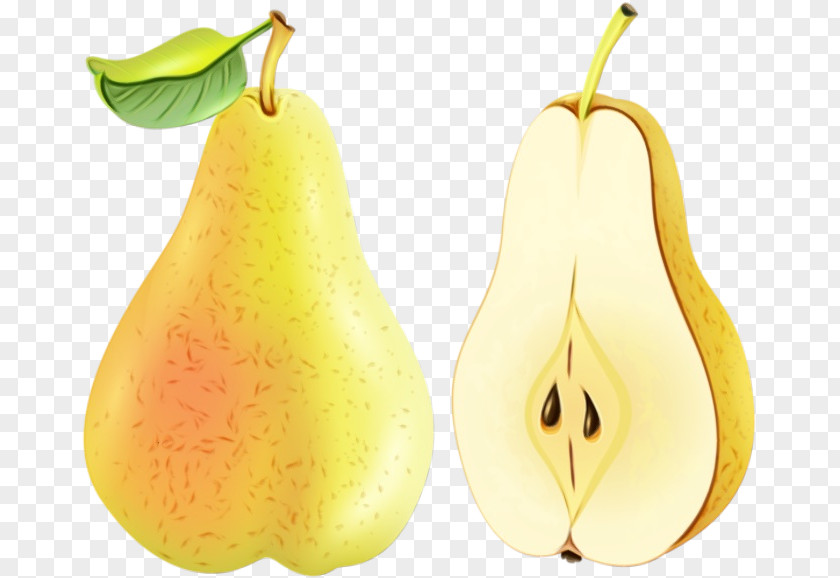 Nepenthes Food Pear Tree Plant Fruit PNG