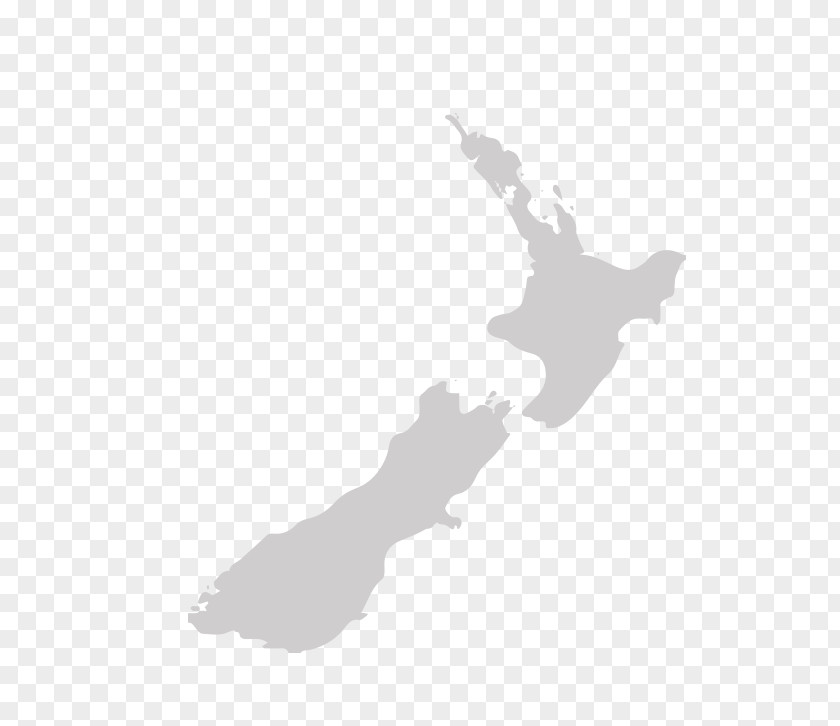 New Zealand Currency Māori Language South Island The Cabbage Tree Treaty Of Waitangi PNG
