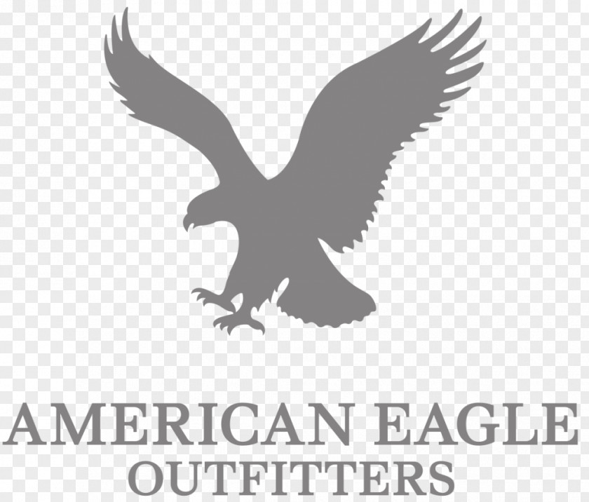 American Eagle Outfitters Retail Clothing Aerie Brand PNG