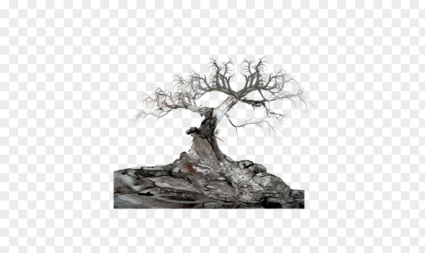 Dark Stone Tree Clip Art PNG