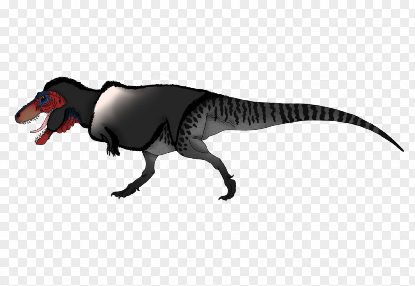 Dinosaur King Tyrannosaurus Austroraptor Velociraptor Reptile DeviantArt PNG