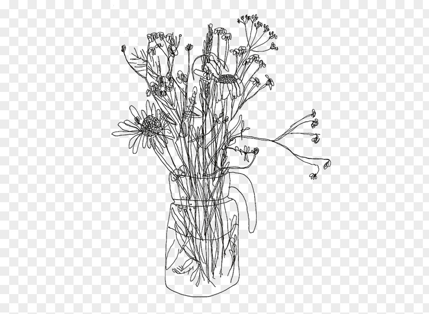 Flower Line Drawing Art Sketch PNG