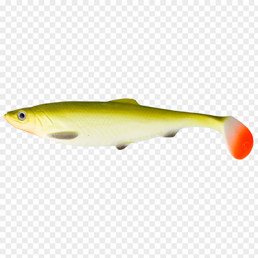 Glasgow Angling Centre Perch Spoon Lure Herring PNG