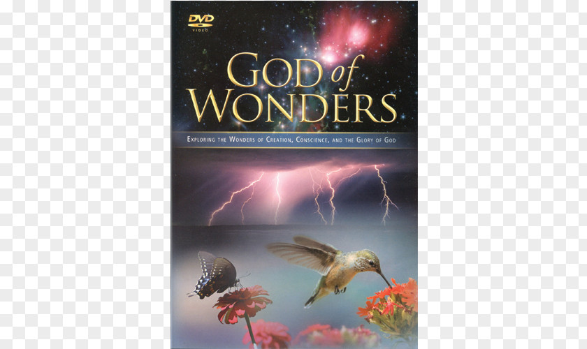 God Of Wonders DVD Glory Film PNG