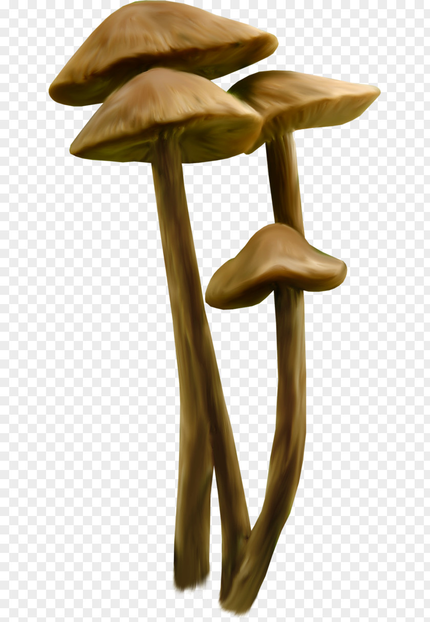 Mushroom Death Cap Clip Art Adobe Photoshop Fungus PNG