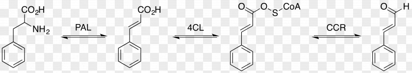 Pathway Chloral Hydrate Chemical Compound Chemistry Toluene PNG