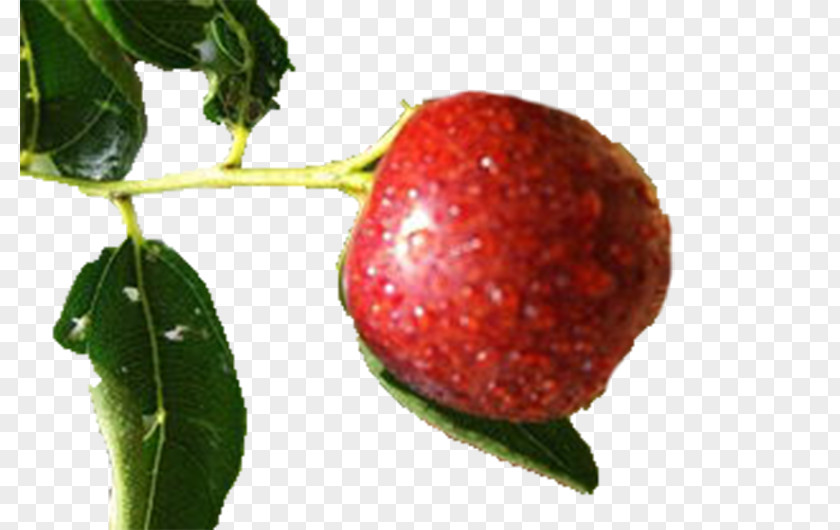 Red Jujube Rain Pictures Strawberry Fruit Auglis PNG
