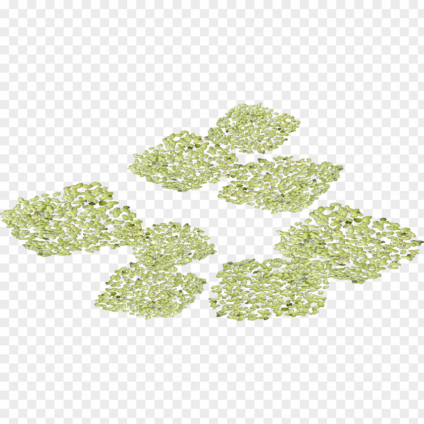 Weed Tree Leaf PNG