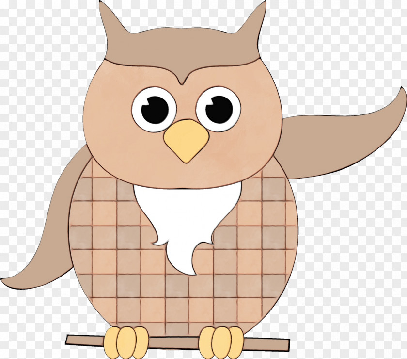 Animation Eastern Screech Owl Watercolor Cartoon PNG