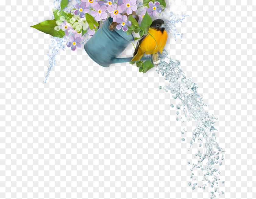 Floral Design Blog Clip Art PNG