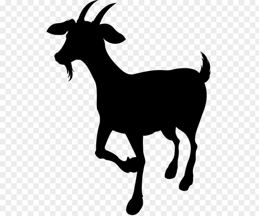 Goat Sheep Cattle Clip Art Mammal PNG