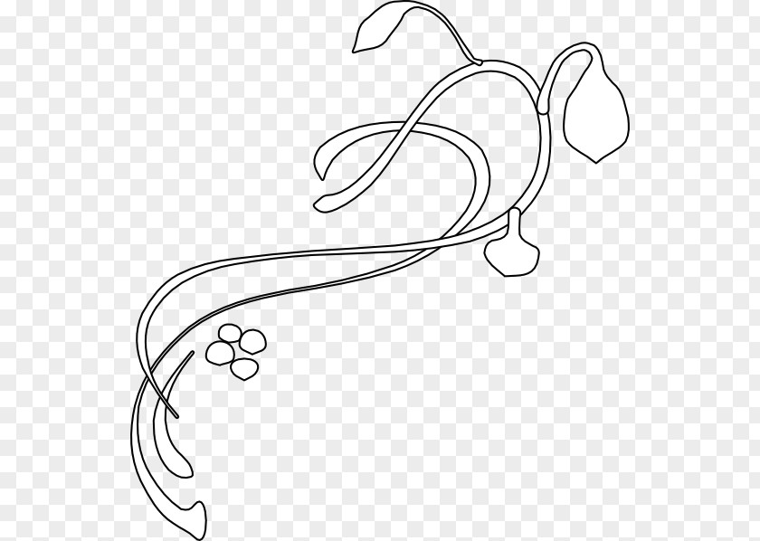 Green Swirls Plant Stem Clip Art PNG