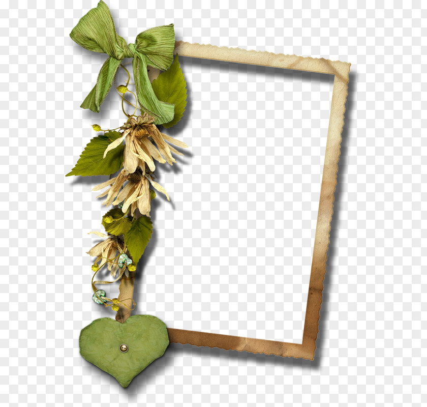 Picture Frames Film Frame Photography PNG