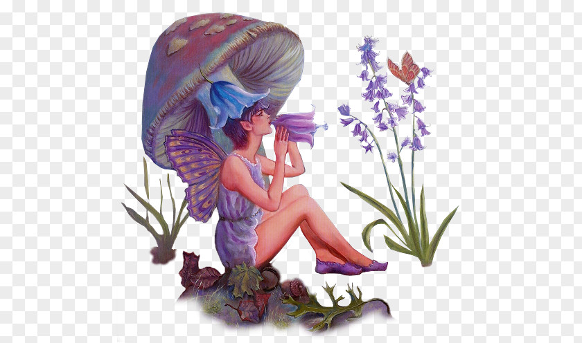 Purple Fruit Fairy Elf Blog .de PNG