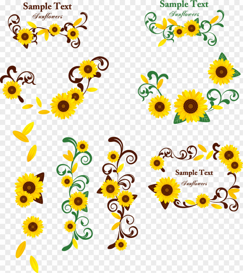 Sunflower Flower Pattern Vector Floral Design Common Clip Art PNG