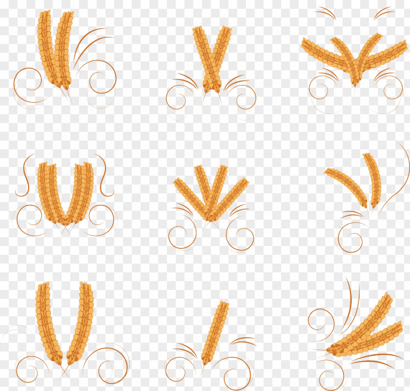 Hand-painted Picture Wheat Common Bread Cereal Flour PNG