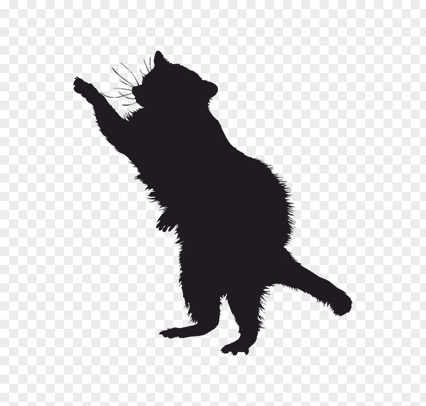 Raccoon Coyote Silhouette Drawing Clip Art PNG