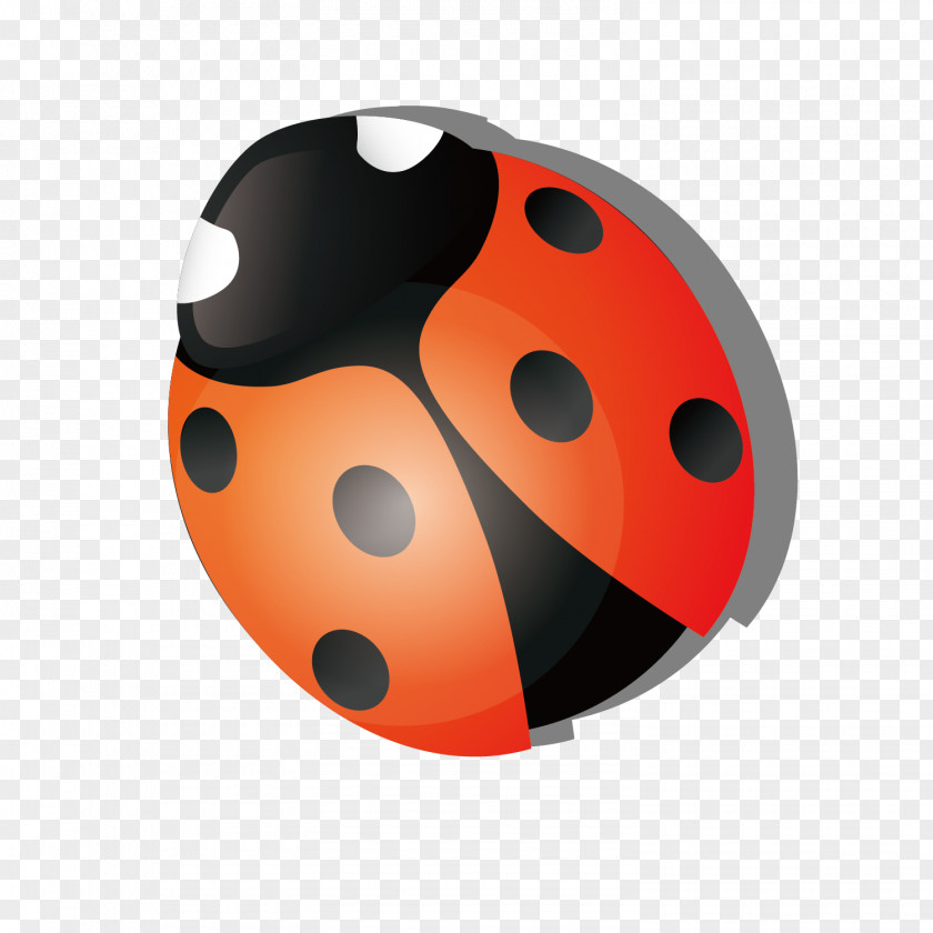 Red Cartoon Seven Star Ladybug Vector Ladybird Insect Coccinella Septempunctata PNG