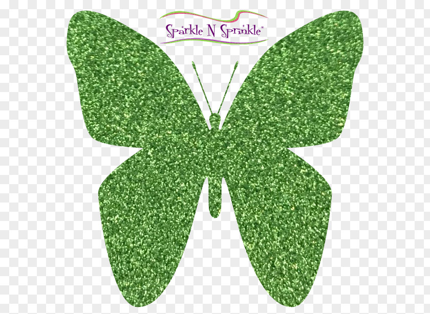 Butterfly Moth Color Green Art PNG