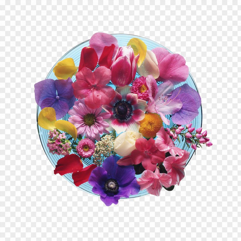 Flower Floral Design Cut Flowers Petal PNG