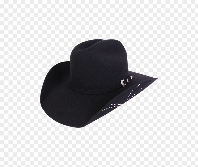 Hat Cowboy Stetson Felt PNG
