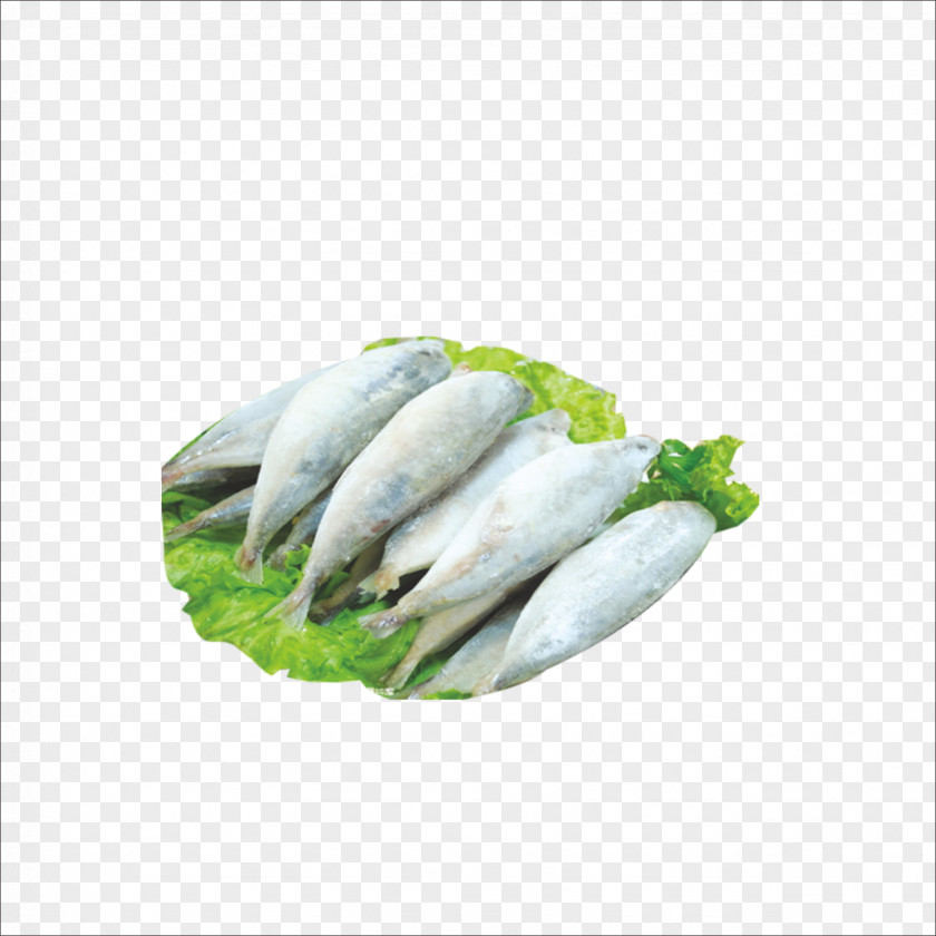 Raw Fish Sardine Slice Seafood PNG