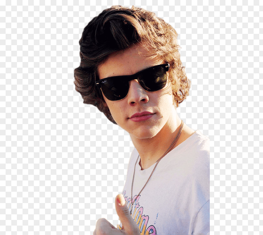 Ray Ban Harry Styles Ray-Ban Clubmaster Oversized Aviator Sunglasses PNG