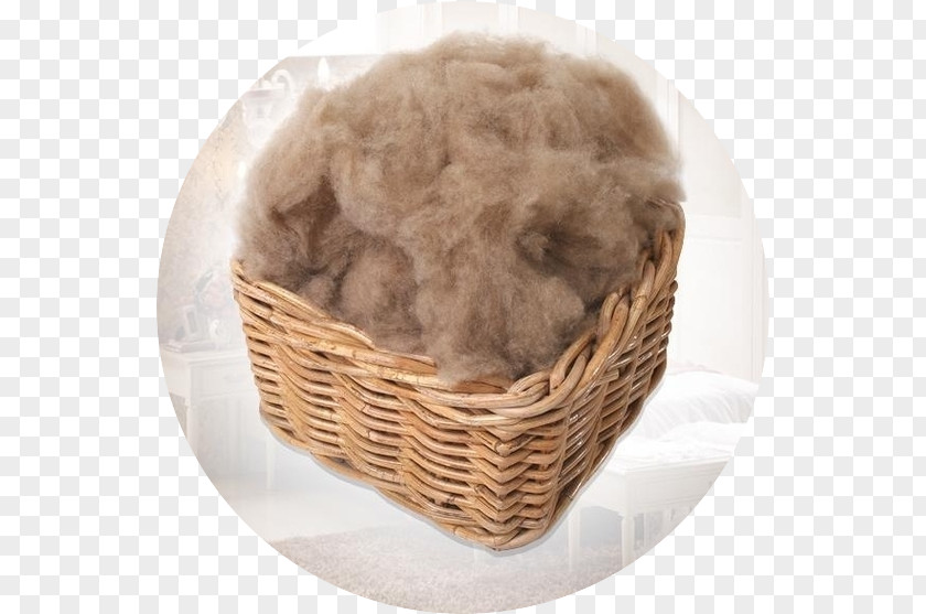 Wool Clothing Textile Blanket Lambavill PNG