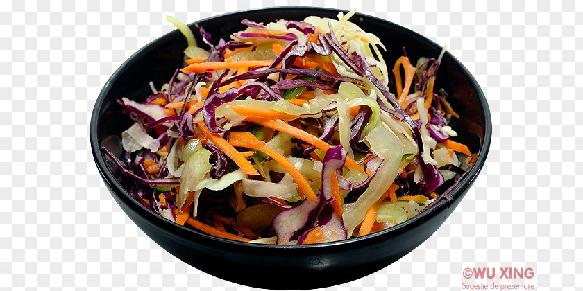 Compendium Of Materia Medica Coleslaw American Chinese Cuisine Chicken Salad Vegetarian PNG