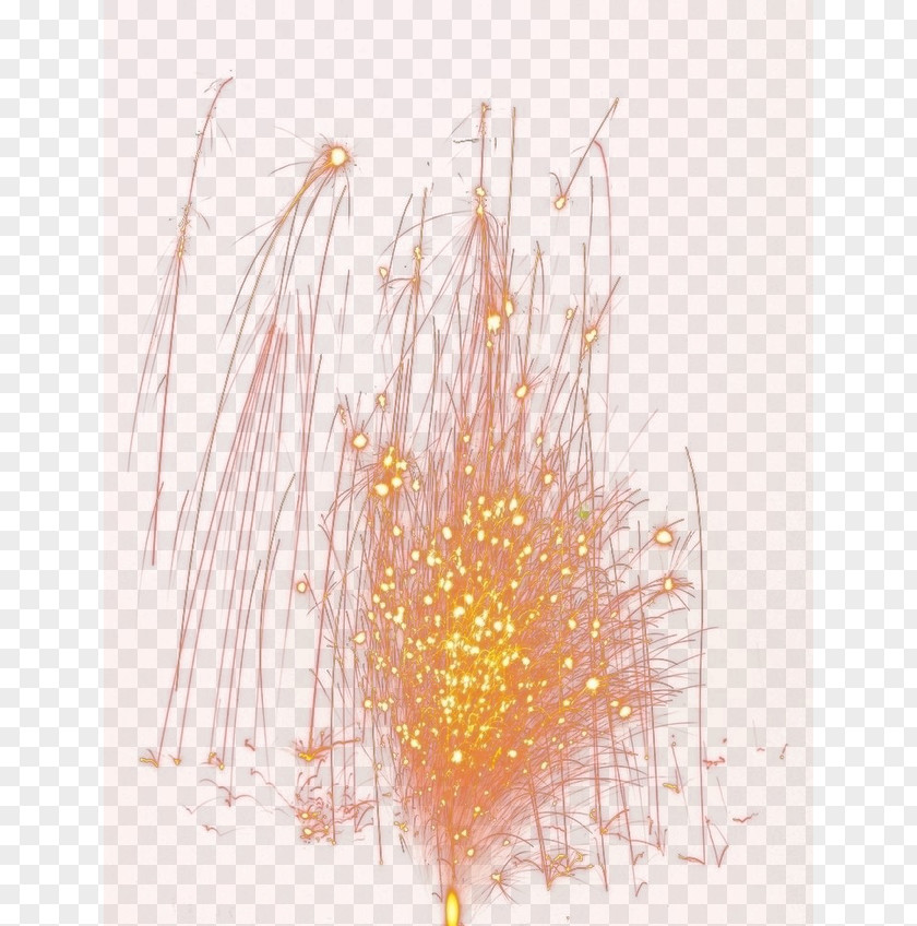 Fireworks Petal Pattern PNG