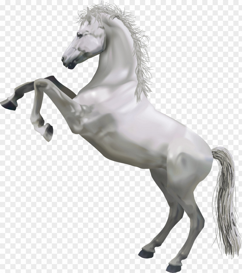 Horse Pic Clip Art PNG