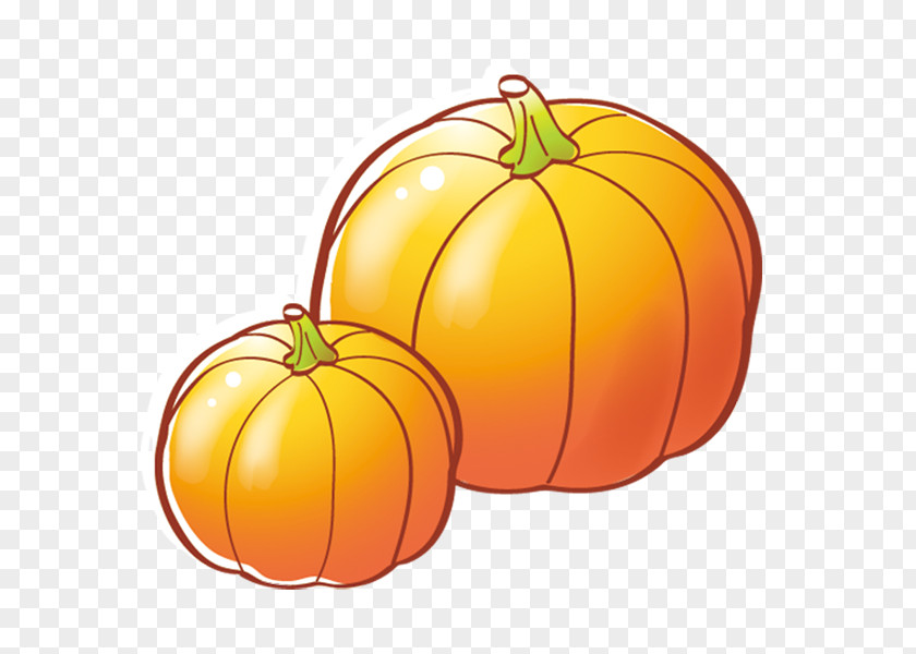 Pumpkin Jack-o-lantern Calabaza Cucurbita Pepo PNG