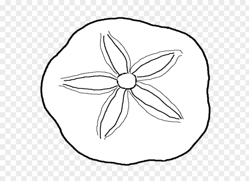 Sand Dollar Clipart Seashell Coloring Book Clip Art PNG