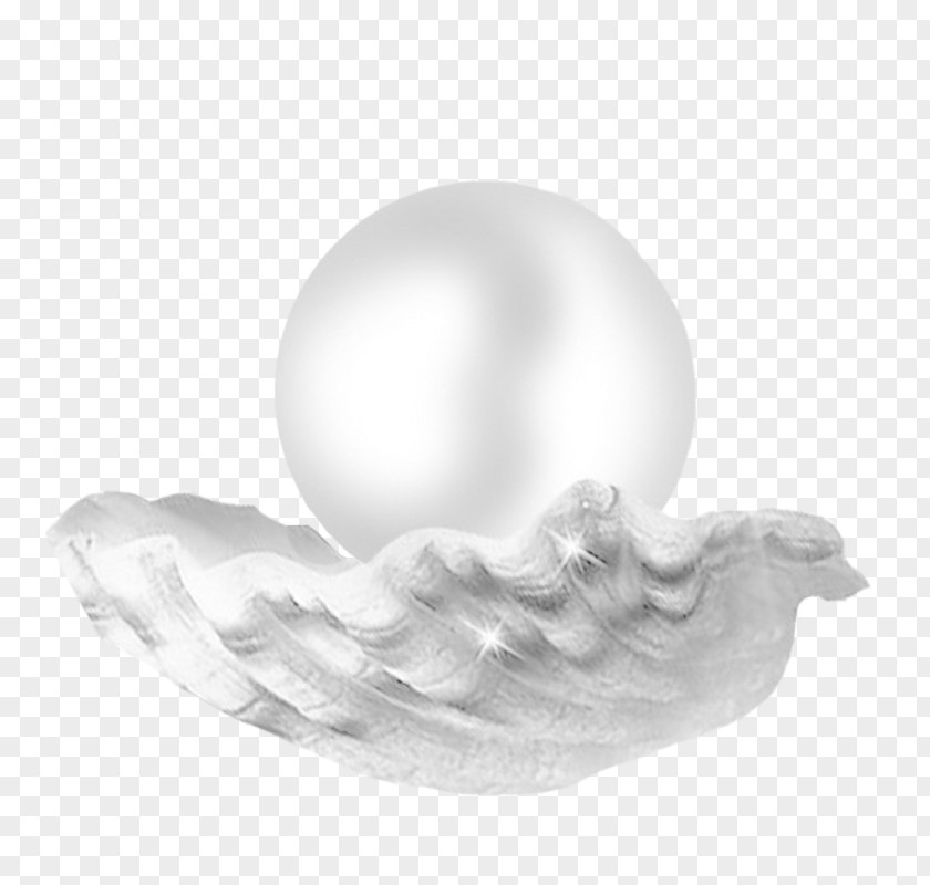 Silver Noble Pearl Seashell Designer Jewellery PNG