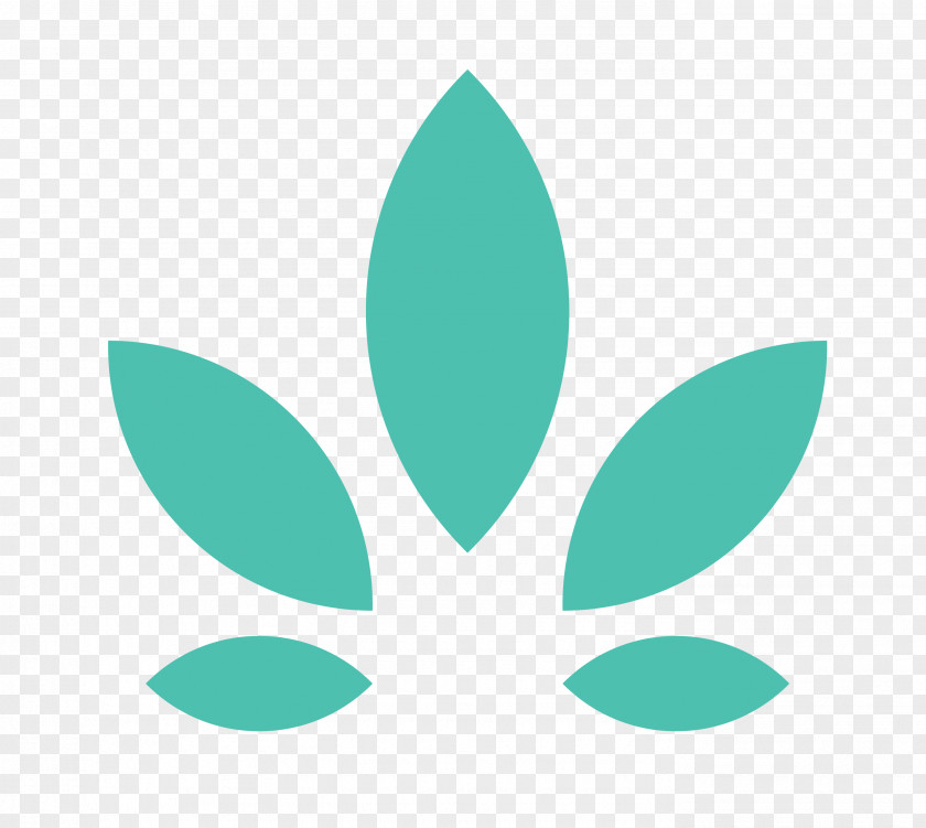 Turquoise Veriheal Medical Marijuana Card Cannabis PNG