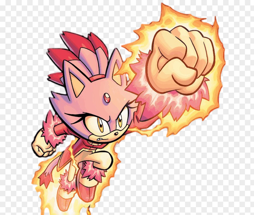 Blaze Sonic Rush The Hedgehog Cat PNG