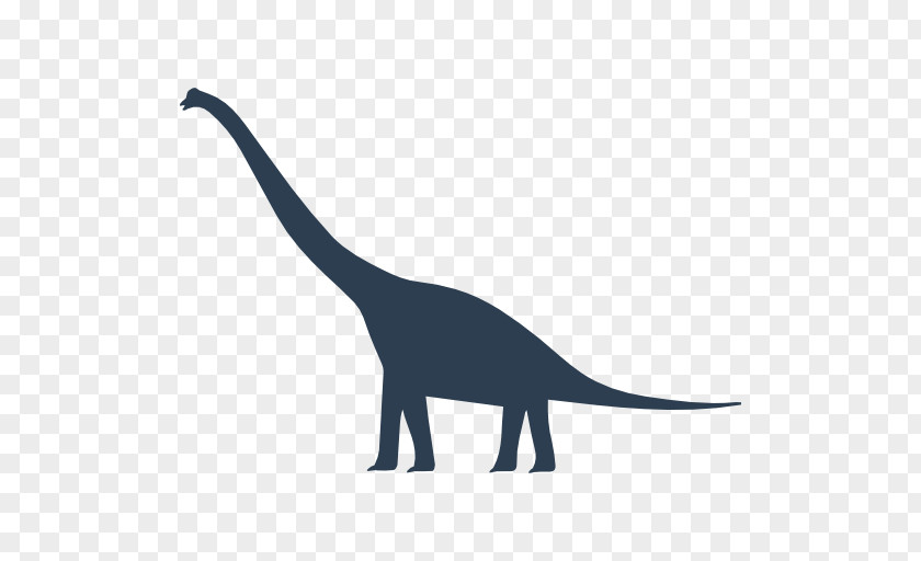 Dinosaur Size Brachiosaurus Tyrannosaurus Apatosaurus PNG
