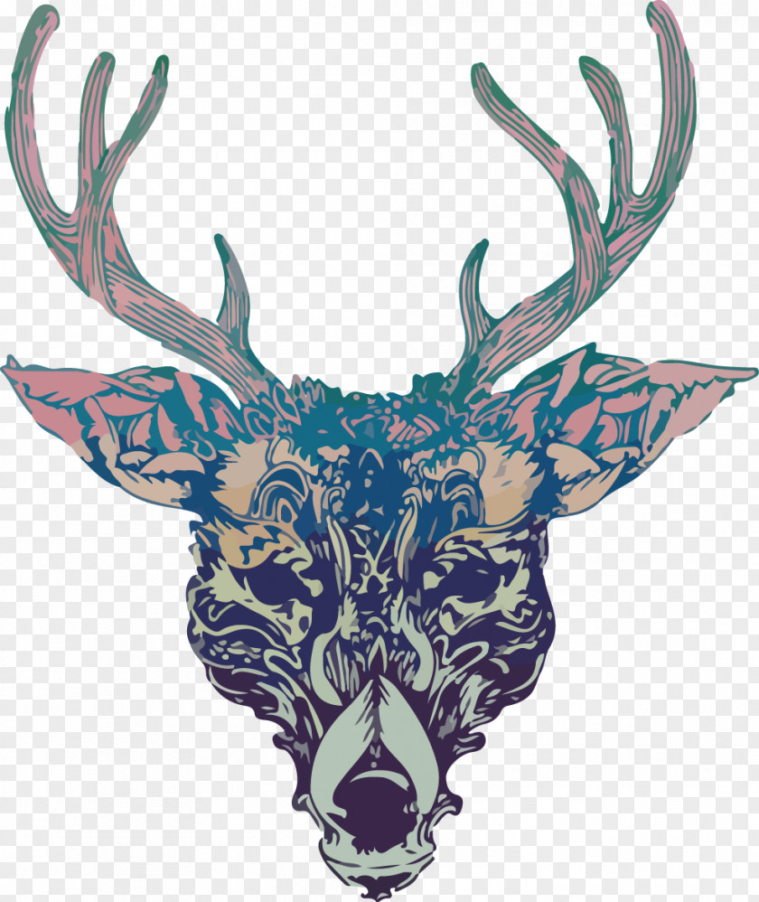 Elk,deer Deer Elk Antler Painting PNG